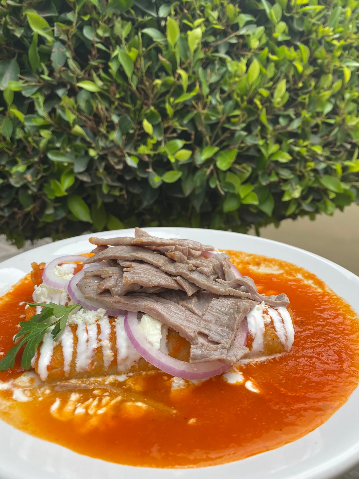 Enchiladas tlaxcaltecas